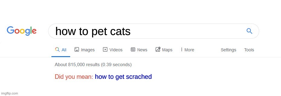 cats | how to pet cats; how to get scrached | image tagged in did you mean | made w/ Imgflip meme maker