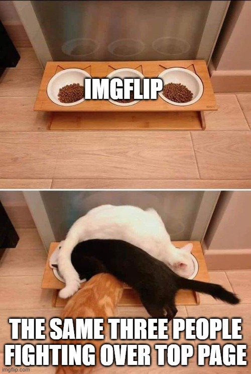 bruh | IMGFLIP; THE SAME THREE PEOPLE FIGHTING OVER TOP PAGE | image tagged in three cats three bowls | made w/ Imgflip meme maker