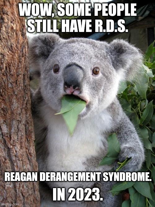 Surprised Koala Meme | WOW, SOME PEOPLE STILL HAVE R.D.S. REAGAN DERANGEMENT SYNDROME. IN 2023. | image tagged in memes,surprised koala | made w/ Imgflip meme maker
