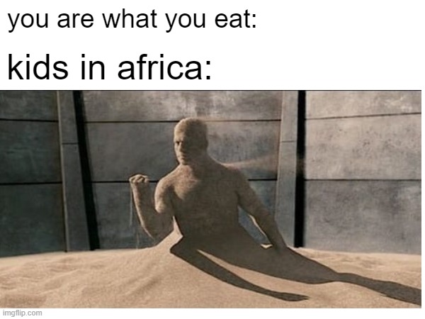 no offense | you are what you eat:; kids in africa: | image tagged in not funny | made w/ Imgflip meme maker