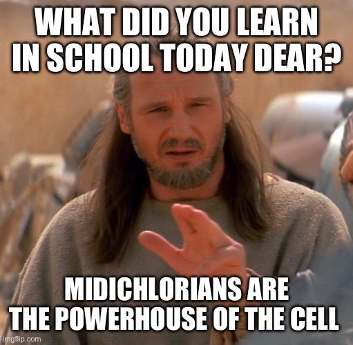 I want to go to that school | WHAT DID YOU LEARN IN SCHOOL TODAY DEAR? MIDICHLORIANS ARE THE POWERHOUSE OF THE CELL | image tagged in qui gon twoo | made w/ Imgflip meme maker