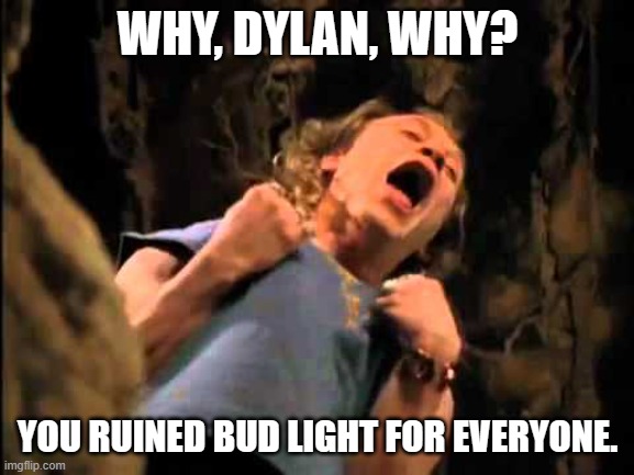 Buffalo Bill | WHY, DYLAN, WHY? YOU RUINED BUD LIGHT FOR EVERYONE. | image tagged in buffalo bill | made w/ Imgflip meme maker