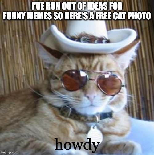 Howdy | I'VE RUN OUT OF IDEAS FOR FUNNY MEMES SO HERE'S A FREE CAT PHOTO; howdy | image tagged in howdy | made w/ Imgflip meme maker