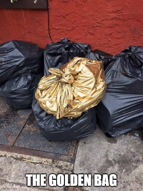 Golden Trash Bag | THE GOLDEN BAG | image tagged in golden trash bag | made w/ Imgflip meme maker