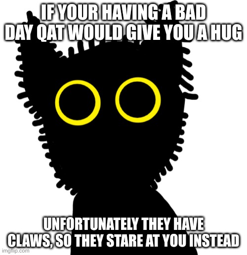 Qat | IF YOUR HAVING A BAD DAY QAT WOULD GIVE YOU A HUG; UNFORTUNATELY THEY HAVE CLAWS, SO THEY STARE AT YOU INSTEAD | image tagged in qat | made w/ Imgflip meme maker