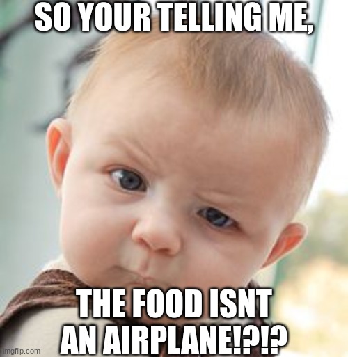 Skcptical Baby | SO YOUR TELLING ME, THE FOOD ISNT AN AIRPLANE!?!? | image tagged in memes,skeptical baby | made w/ Imgflip meme maker