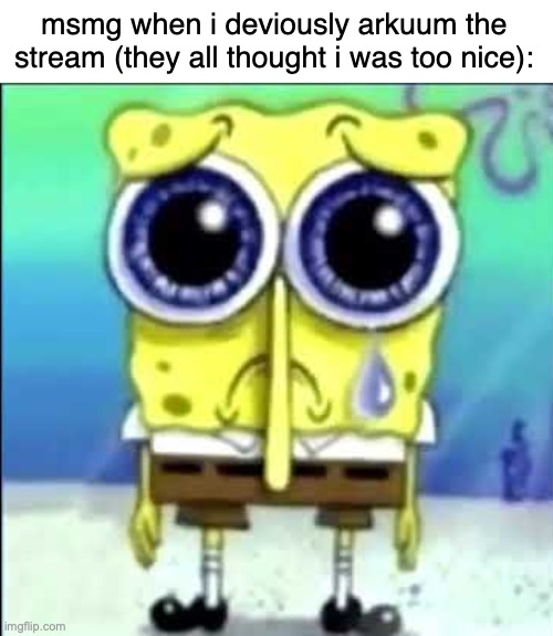 oh thats funny yall think im joking? | msmg when i deviously arkuum the stream (they all thought i was too nice): | image tagged in sad spongebob | made w/ Imgflip meme maker