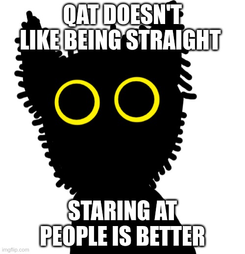 Qat | QAT DOESN'T LIKE BEING STRAIGHT; STARING AT PEOPLE IS BETTER | image tagged in qat | made w/ Imgflip meme maker