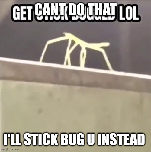 Get stick bugged lol | CANT DO THAT I'LL STICK BUG U INSTEAD | image tagged in get stick bugged lol | made w/ Imgflip meme maker