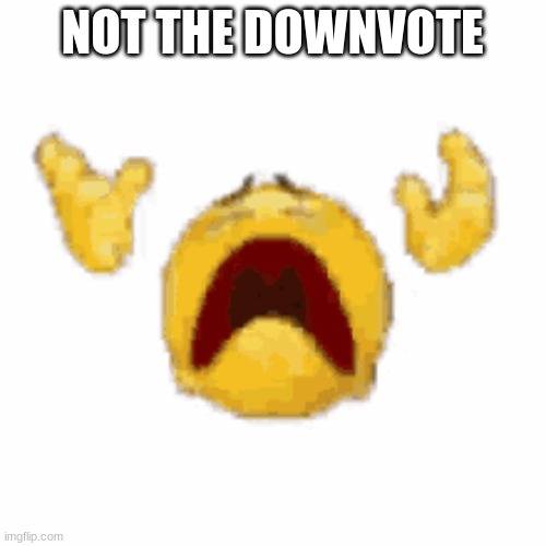 NOT THE DOWNVOTE | made w/ Imgflip meme maker