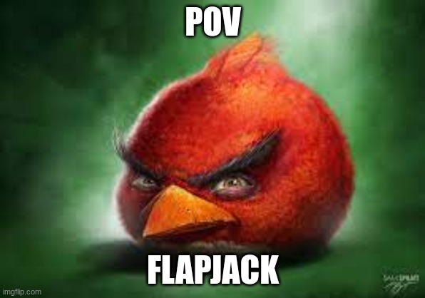 Realistic Red Angry Birds | POV; FLAPJACK | image tagged in realistic red angry birds,the owl house | made w/ Imgflip meme maker