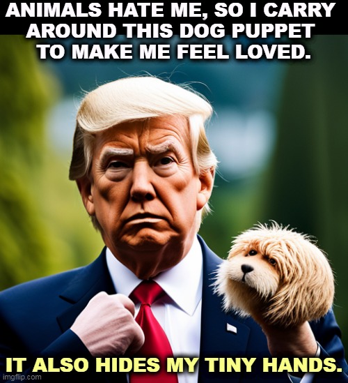 ANIMALS HATE ME, SO I CARRY 
AROUND THIS DOG PUPPET 
TO MAKE ME FEEL LOVED. IT ALSO HIDES MY TINY HANDS. | image tagged in animals,hate,trump,puppet,love,pathetic | made w/ Imgflip meme maker