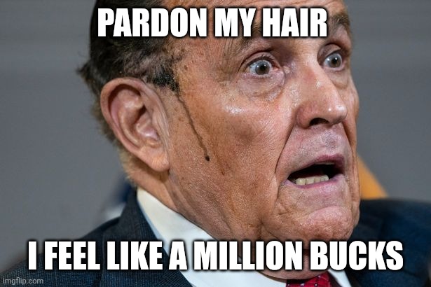 The boss says sell | PARDON MY HAIR; I FEEL LIKE A MILLION BUCKS | image tagged in rudy giuliani,pardon,for sale | made w/ Imgflip meme maker