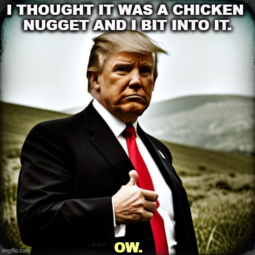 I THOUGHT IT WAS A CHICKEN 
NUGGET AND I BIT INTO IT. OW. | image tagged in trump,chicken,fried chicken,chicken nuggets,thumb | made w/ Imgflip meme maker