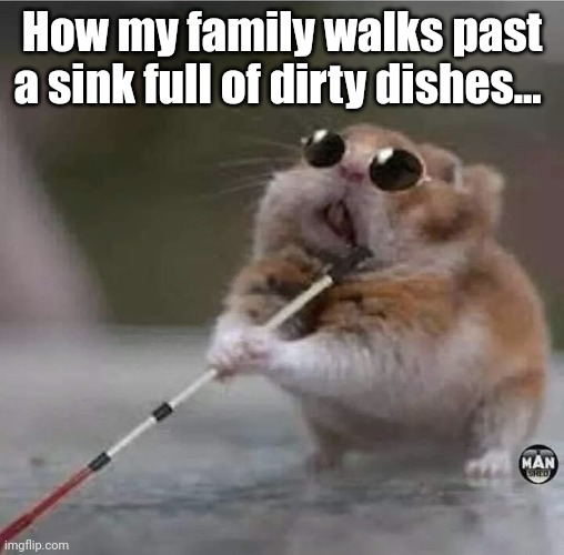 Lazy Kids | How my family walks past
a sink full of dirty dishes... | image tagged in blind hamster,lazy,identity | made w/ Imgflip meme maker
