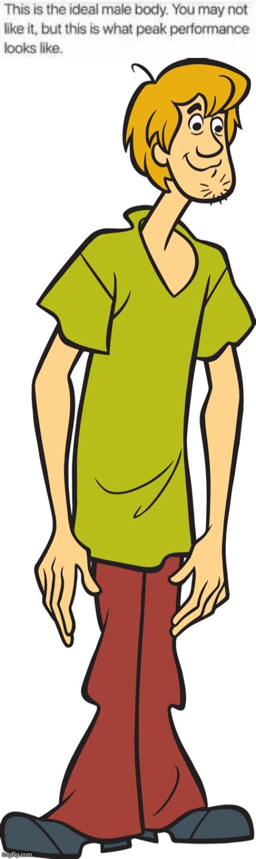 Shaggy, the ideal male body | image tagged in shaggy,shaggy meme,scooby doo,scooby doo shaggy,cartoons,comics/cartoons | made w/ Imgflip meme maker