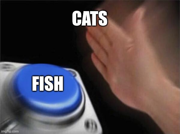 Blank Nut Button | CATS; FISH | image tagged in memes,blank nut button | made w/ Imgflip meme maker