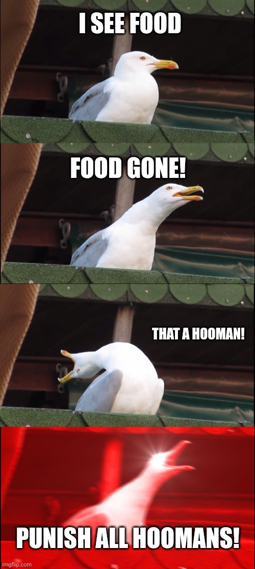 Inhaling Seagull Meme | I SEE FOOD; FOOD GONE! THAT A HOOMAN! PUNISH ALL HOOMANS! | image tagged in memes,inhaling seagull | made w/ Imgflip meme maker