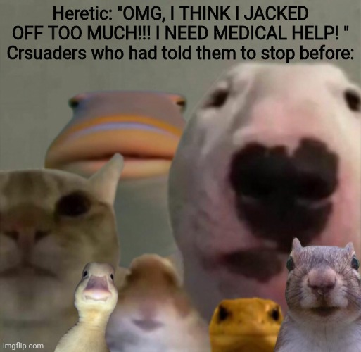 Idiots :facepalm: | Heretic: "OMG, I THINK I JACKED OFF TOO MUCH!!! I NEED MEDICAL HELP! "
Crsuaders who had told them to stop before: | image tagged in the council remastered | made w/ Imgflip meme maker