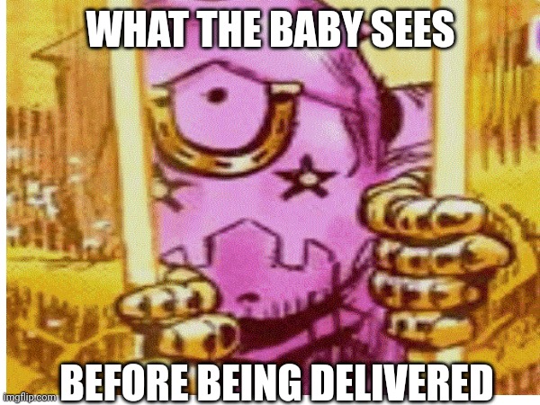 Chumimin | WHAT THE BABY SEES; BEFORE BEING DELIVERED | image tagged in jojo's bizarre adventure | made w/ Imgflip meme maker
