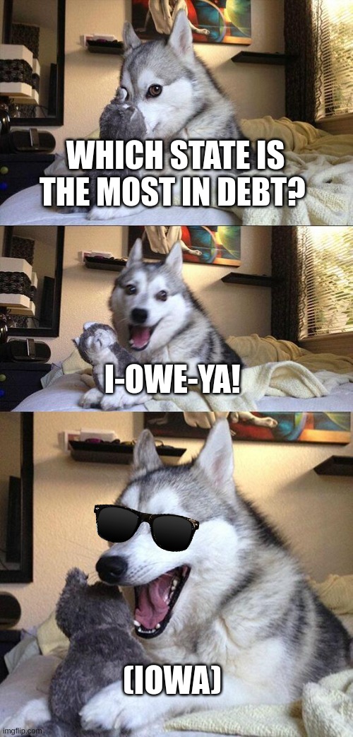 Bad Pun Dog | WHICH STATE IS THE MOST IN DEBT? I-OWE-YA! (IOWA) | image tagged in memes,bad pun dog | made w/ Imgflip meme maker