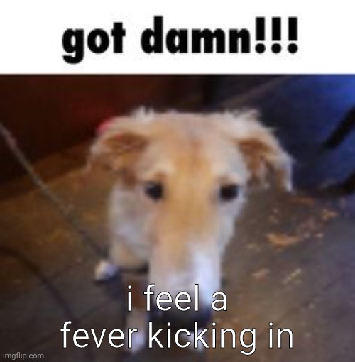 got damn!!! | i feel a fever kicking in | image tagged in got damn | made w/ Imgflip meme maker