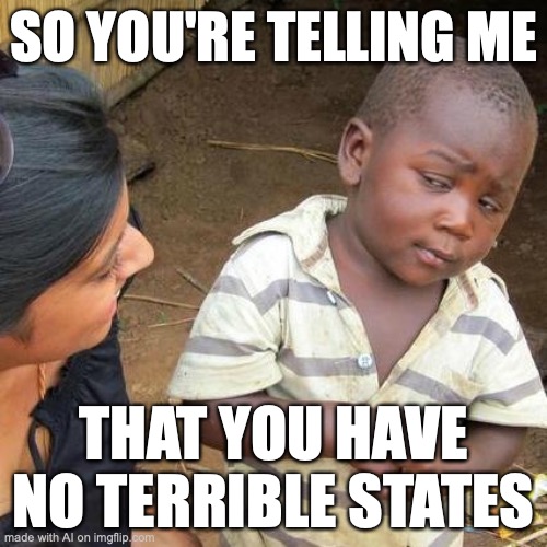 Third World Skeptical Kid | SO YOU'RE TELLING ME; THAT YOU HAVE NO TERRIBLE STATES | image tagged in memes,third world skeptical kid | made w/ Imgflip meme maker