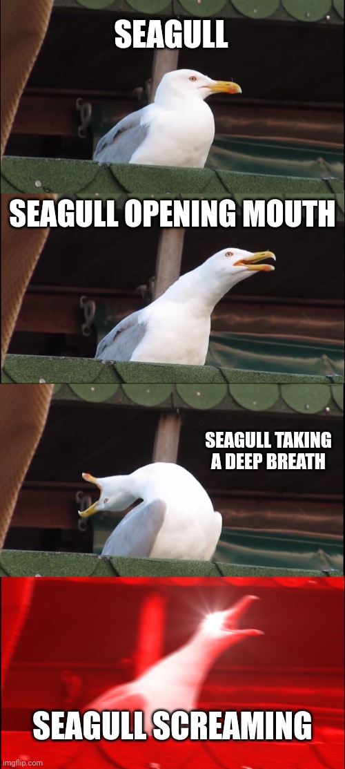 Screaming seagull | SEAGULL; SEAGULL OPENING MOUTH; SEAGULL TAKING A DEEP BREATH; SEAGULL SCREAMING | image tagged in memes,inhaling seagull | made w/ Imgflip meme maker