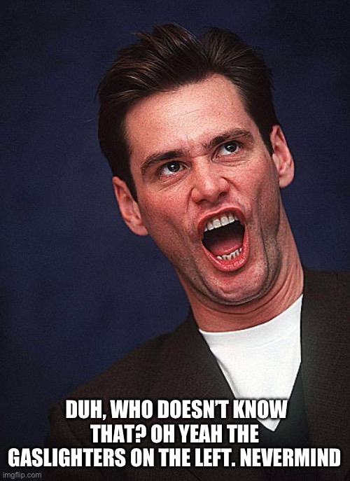 jim carrey duh  | DUH, WHO DOESN’T KNOW THAT? OH YEAH THE GASLIGHTERS ON THE LEFT. NEVERMIND | image tagged in jim carrey duh | made w/ Imgflip meme maker