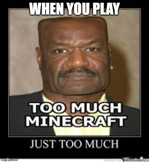 Minecraft | WHEN YOU PLAY | image tagged in minecraft | made w/ Imgflip meme maker
