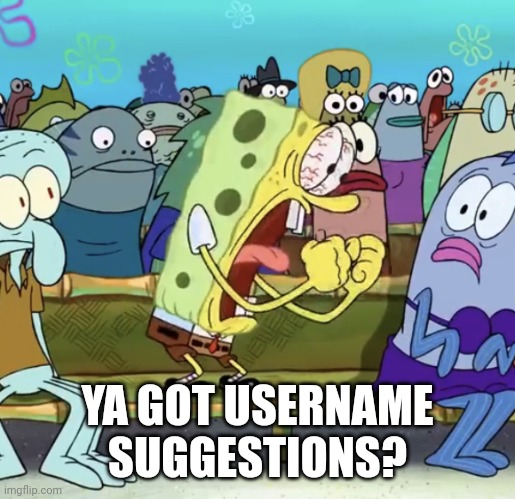 Spongebob Yelling | YA GOT USERNAME SUGGESTIONS? | image tagged in spongebob yelling | made w/ Imgflip meme maker