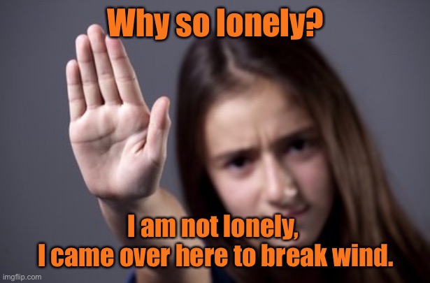 I am not lonely | Why so lonely? I am not lonely, 
I came over here to break wind. | image tagged in why so lonely,i came here,to break wind,funny | made w/ Imgflip meme maker