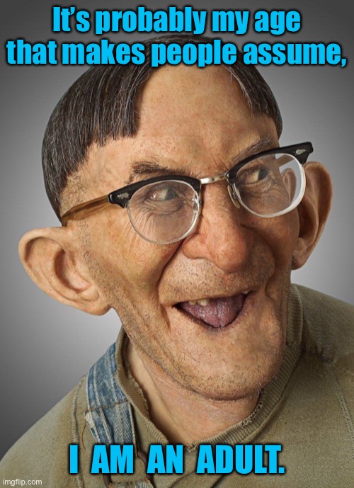 Probably my age | It’s probably my age that makes people assume, I  AM  AN  ADULT. | image tagged in is he an adult,my age,people assume,an adult | made w/ Imgflip meme maker