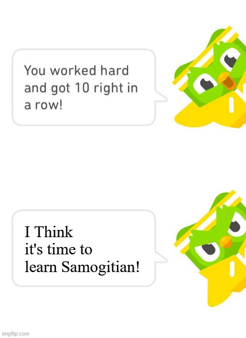 If you wish to duolingo add Samogitian | I Think it's time to learn Samogitian! | image tagged in duolingo 10 in a row | made w/ Imgflip meme maker
