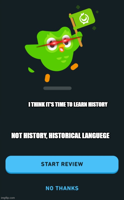 Duolingo When You Haven't Opened The App In 1 Month | I THINK IT'S TIME TO LEARN HISTORY; NOT HISTORY, HISTORICAL LANGUEGE | image tagged in duolingo when you haven't opened the app in 1 month | made w/ Imgflip meme maker