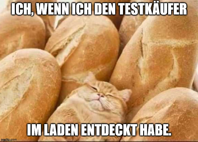 Camo cat loaf | ICH, WENN ICH DEN TESTKÄUFER; IM LADEN ENTDECKT HABE. | image tagged in camo cat loaf | made w/ Imgflip meme maker