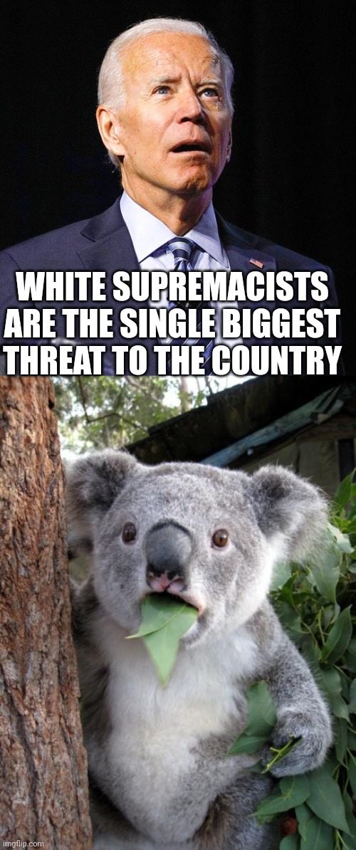 WHITE SUPREMACISTS ARE THE SINGLE BIGGEST THREAT TO THE COUNTRY | image tagged in joe biden,memes,surprised koala | made w/ Imgflip meme maker