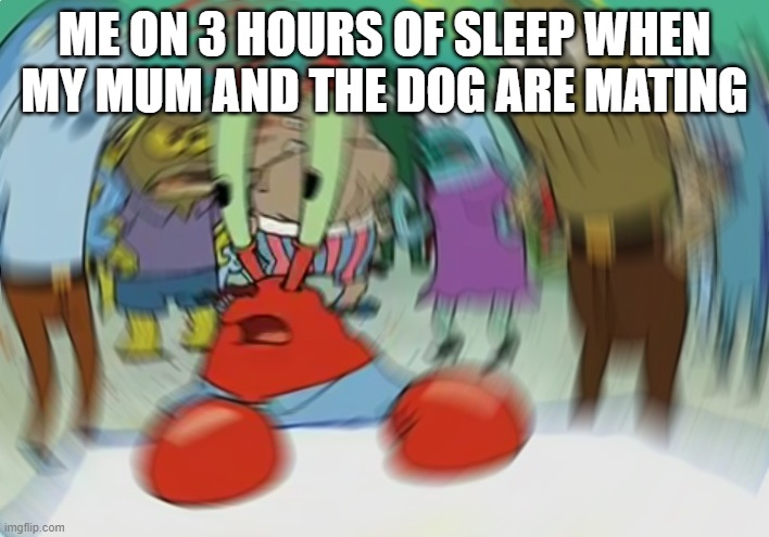 Mr Krabs Blur Meme | ME ON 3 HOURS OF SLEEP WHEN MY MUM AND THE DOG ARE MATING | image tagged in memes,mr krabs blur meme | made w/ Imgflip meme maker