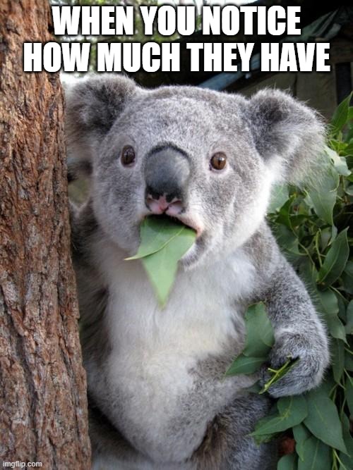 koala | WHEN YOU NOTICE HOW MUCH THEY HAVE | image tagged in memes,surprised koala | made w/ Imgflip meme maker