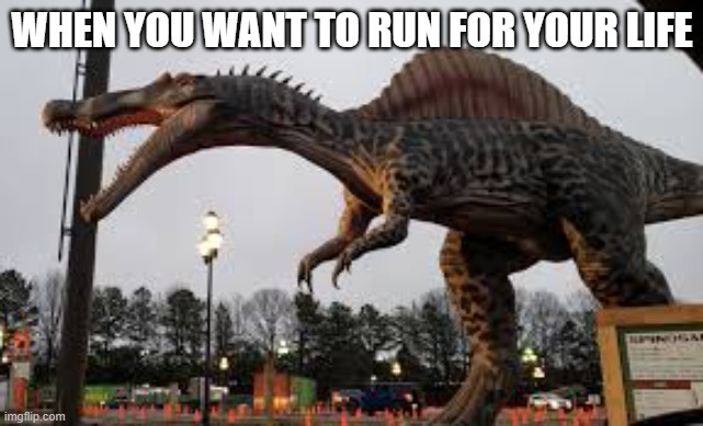 dinosaur escape | WHEN YOU WANT TO RUN FOR YOUR LIFE | image tagged in dinosaurs | made w/ Imgflip meme maker