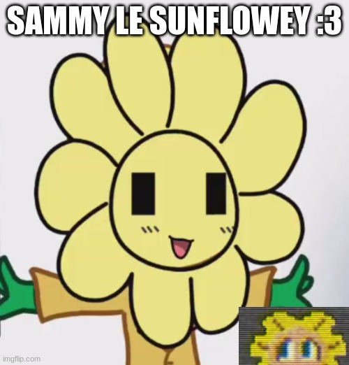 sammy le sunflowey | SAMMY LE SUNFLOWEY :3 | image tagged in memes,funni,cute | made w/ Imgflip meme maker