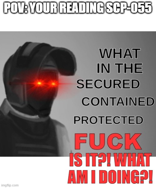 I am New here and i hope to MEME | POV: YOUR READING SCP-055; IS IT?! WHAT AM I DOING?! | image tagged in what in the scpf | made w/ Imgflip meme maker