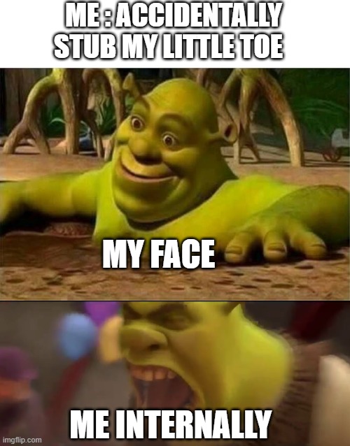 the pain inside | ME : ACCIDENTALLY STUB MY LITTLE TOE; MY FACE; ME INTERNALLY | image tagged in shrek,shrek screaming | made w/ Imgflip meme maker