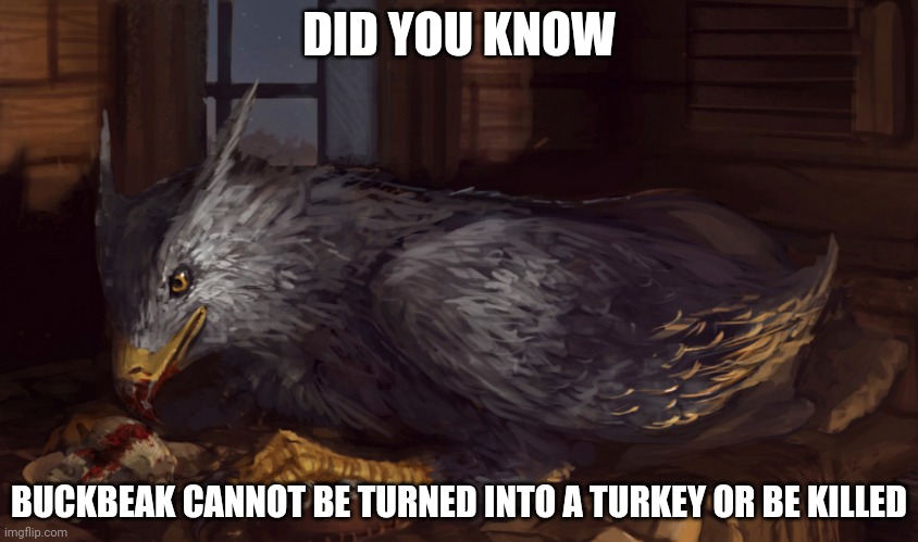 Buckbeak | DID YOU KNOW; BUCKBEAK CANNOT BE TURNED INTO A TURKEY OR BE KILLED | image tagged in buckbeak | made w/ Imgflip meme maker