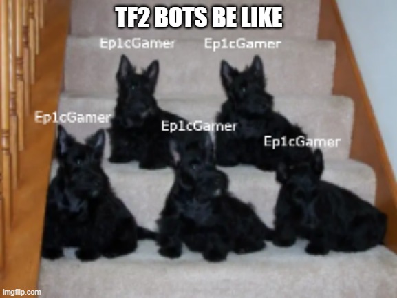 tf2 bots | TF2 BOTS BE LIKE | image tagged in bots,oh wow are you actually reading these tags,tf2,annoying | made w/ Imgflip meme maker