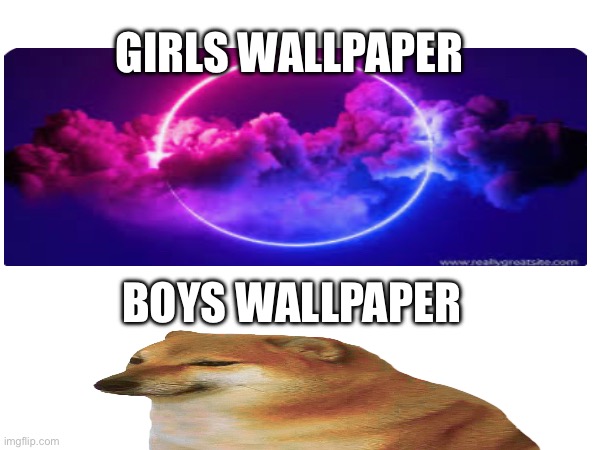 Cheeeeeeems | GIRLS WALLPAPER; BOYS WALLPAPER | image tagged in doge | made w/ Imgflip meme maker