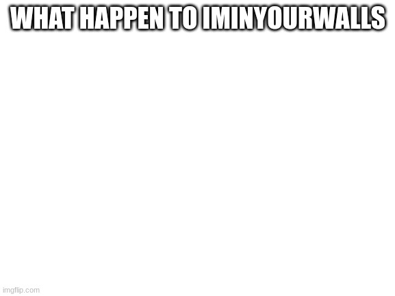 Blank White Template | WHAT HAPPEN TO IMINYOURWALLS | image tagged in blank white template | made w/ Imgflip meme maker