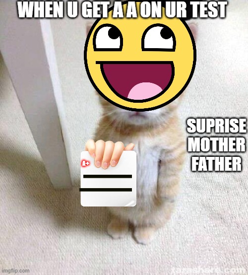 SUPRISE MOTHER FATHER | WHEN U GET A A ON UR TEST; SUPRISE MOTHER FATHER; A+ | image tagged in memes,cute cat | made w/ Imgflip meme maker