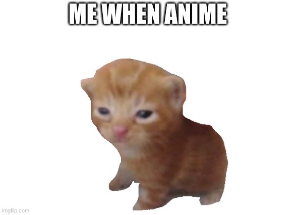 Me When Anime Cat | image tagged in funny,funny memes,memes,relatable,anime,anime meme | made w/ Imgflip meme maker