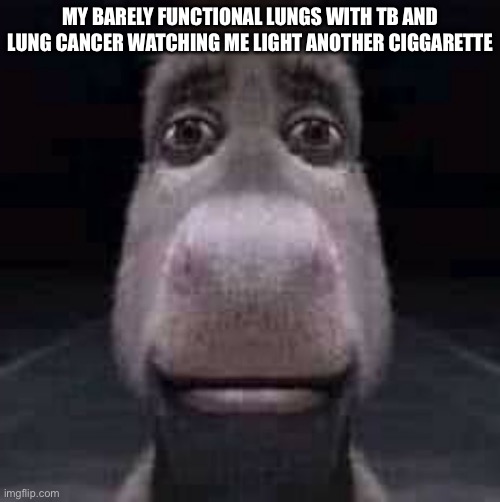 Donkey staring | MY BARELY FUNCTIONAL LUNGS WITH TB AND LUNG CANCER WATCHING ME LIGHT ANOTHER CIGGARETTE | image tagged in donkey staring | made w/ Imgflip meme maker